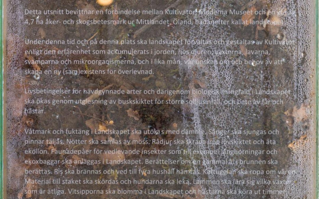 Landskapet