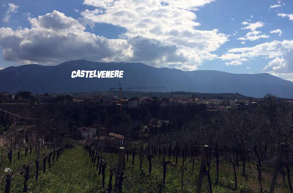 Castelvenere – a nicer version of home
