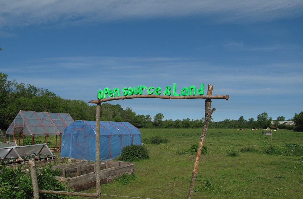 Digital culture/Friendfarm workshop