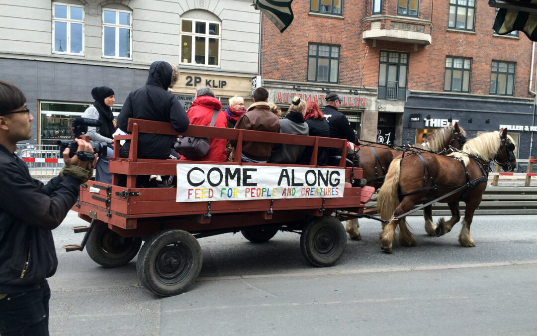 Feeding the backyard