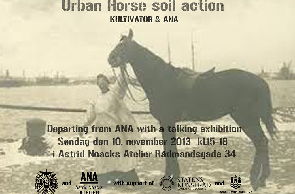 Urban Horse Soil Action step 1